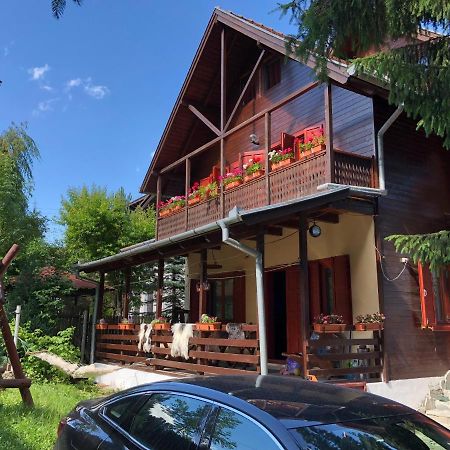 Vila Family House Buşteni Exteriér fotografie