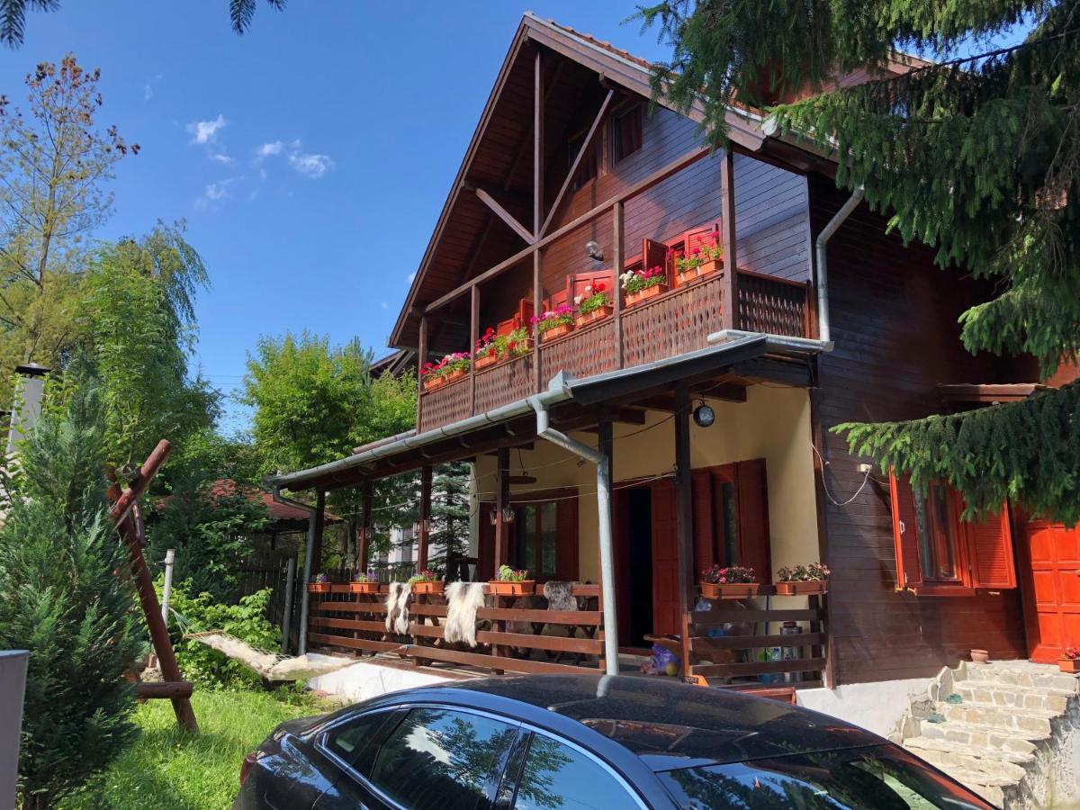 Vila Family House Buşteni Exteriér fotografie