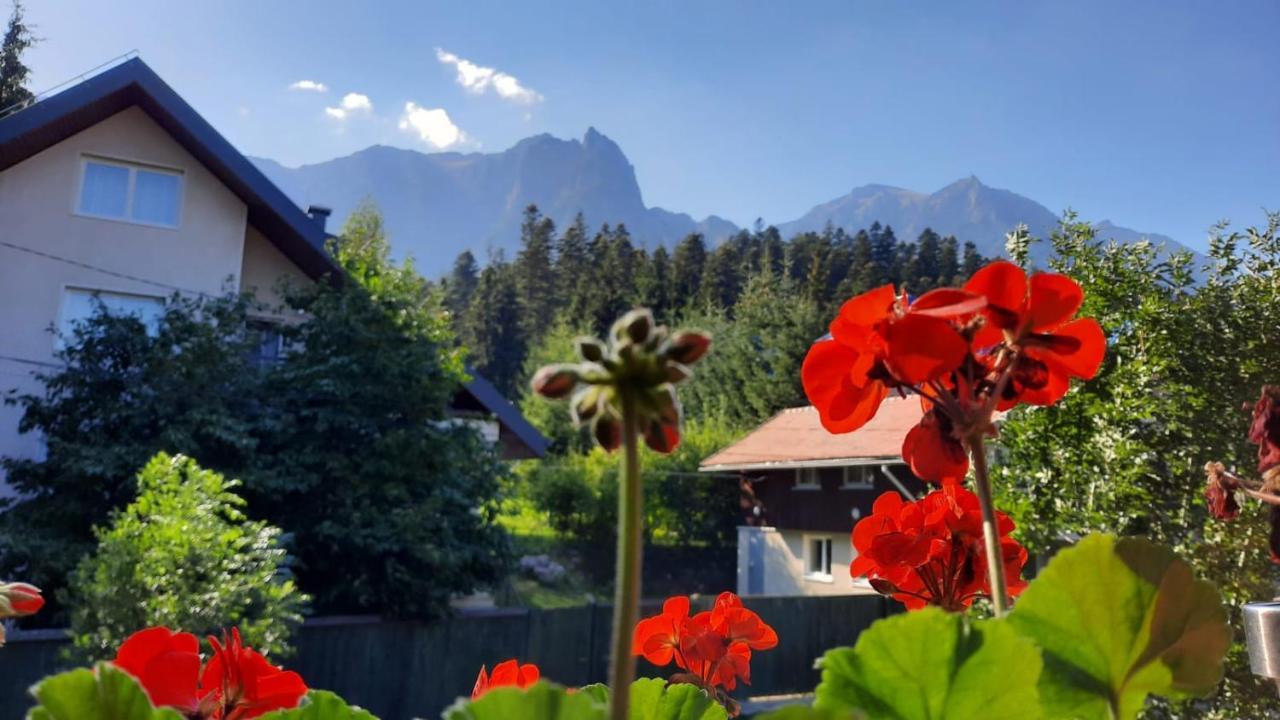 Vila Family House Buşteni Exteriér fotografie