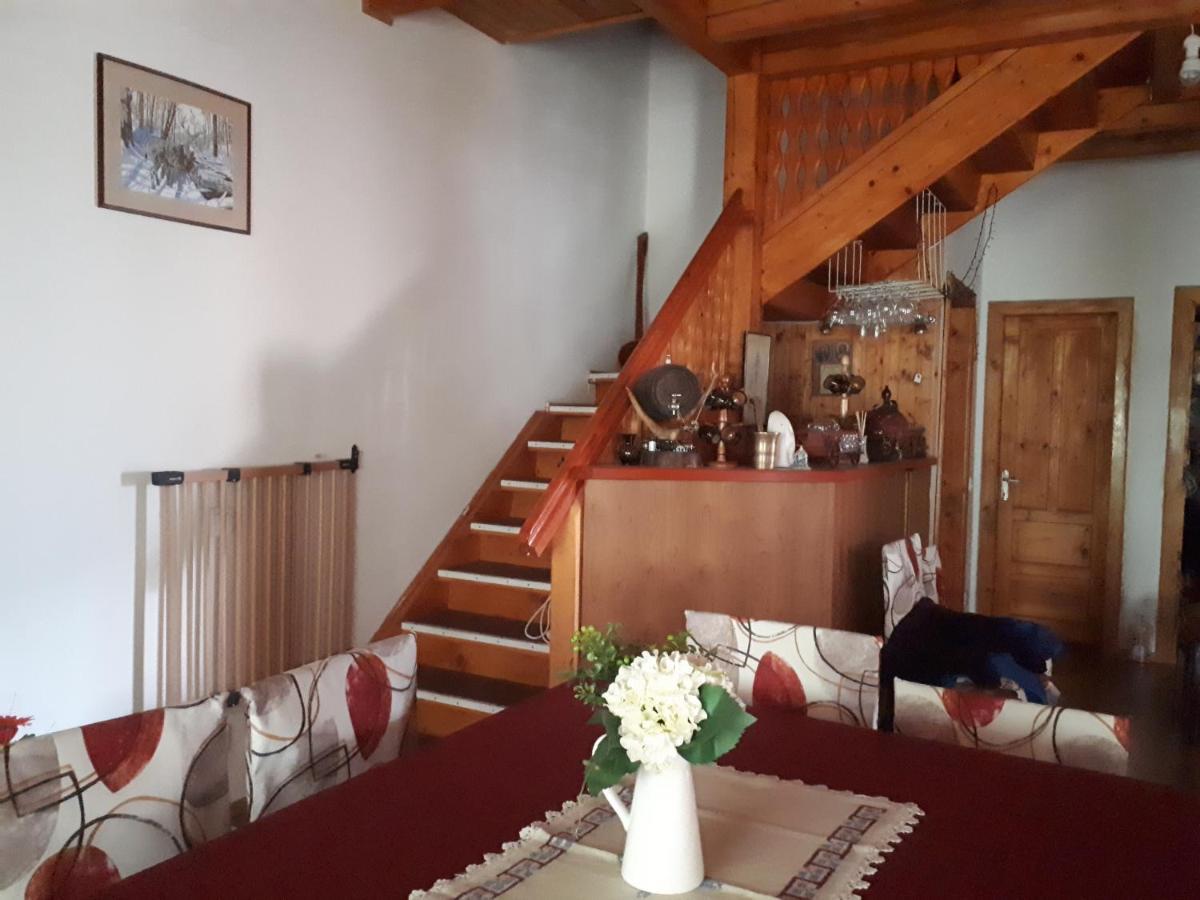 Vila Family House Buşteni Exteriér fotografie