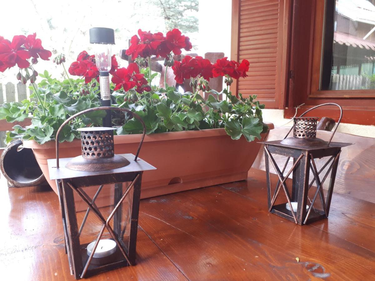 Vila Family House Buşteni Exteriér fotografie