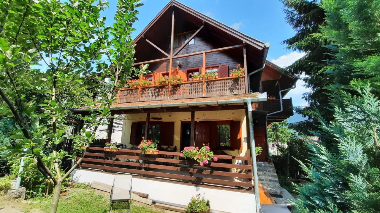 Vila Family House Buşteni Exteriér fotografie