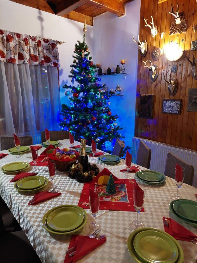 Vila Family House Buşteni Exteriér fotografie