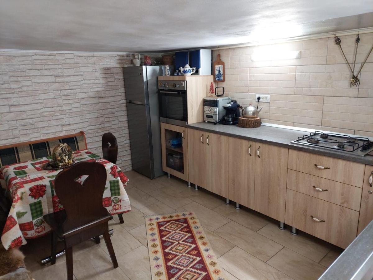 Vila Family House Buşteni Exteriér fotografie